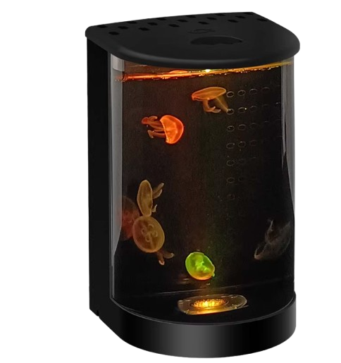 Hồ nuôi sứa Tank 3L có gì nổi bật? Giải pháp mini cho không gian nhỏ